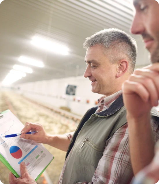 Customized Poultry Insurance - Oegema, Nicholson & Associates