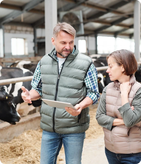 Tailored Dairy Farm Insurance Coverage - Oegema, Nicholson & Associates