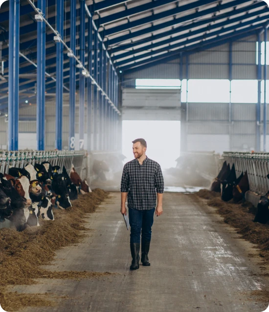 Dairy Farm Insurance Coverage - Oegema, Nicholson & Associates
