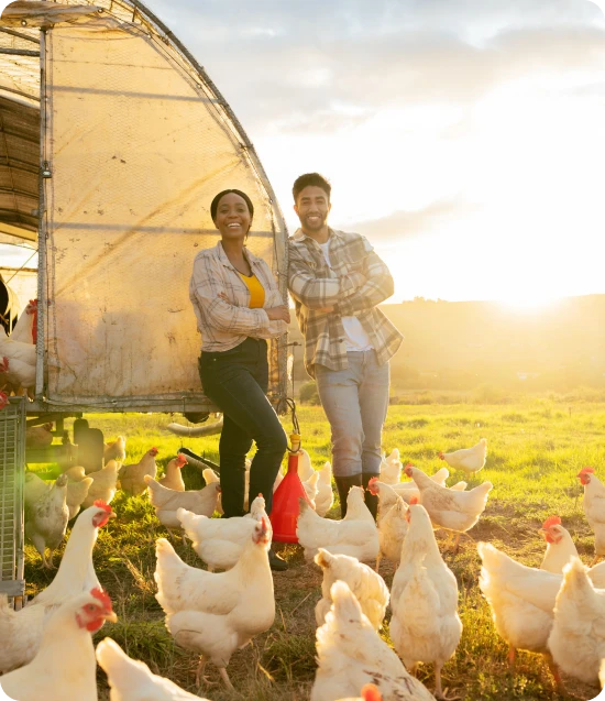 Why Poultry Farm Insurance - Oegema, Nicholson & Associates